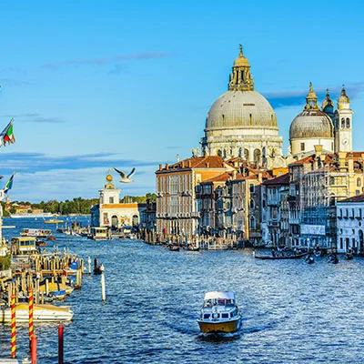 安佳配料表(安佳进货渠道)