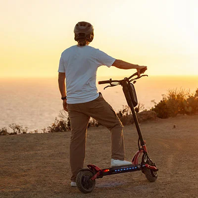 广州免费领养宠物的平台有哪些（广州领养宠物中心）
