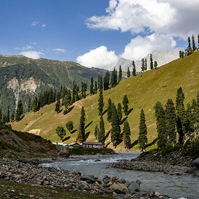 小型家用饲料颗粒机推荐（家用鸡饲料颗粒机）