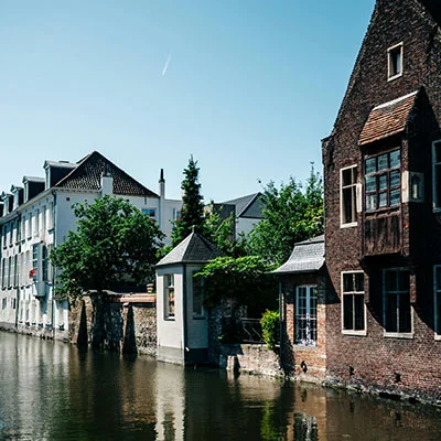 猫三联一共几针,多少钱,多久打一次疫苗好（猫三联一共几针,多少钱2020）