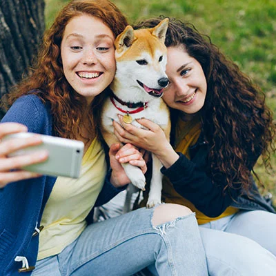 序列化多表操作、请求与响应、视图组件(子类与拓展类)、继承GenericAPIView类重写接口